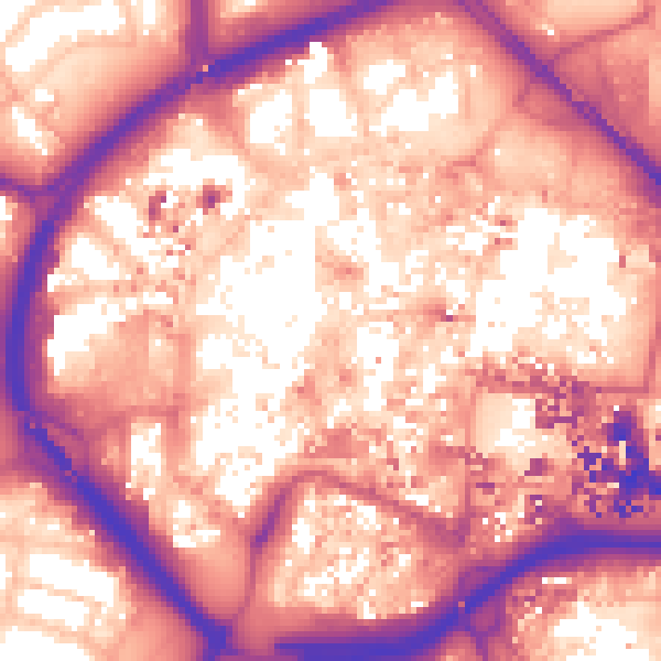 Daytime road noise heatmap for CV1 1DD