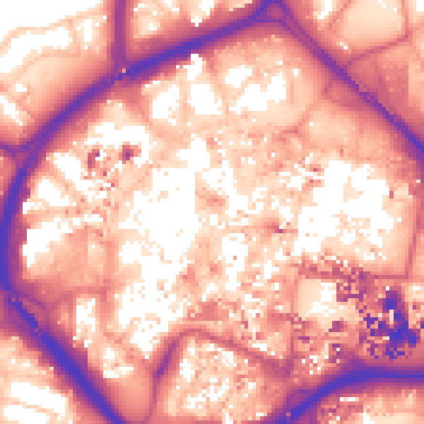 Daytime road noise heatmap for CV1 1DE