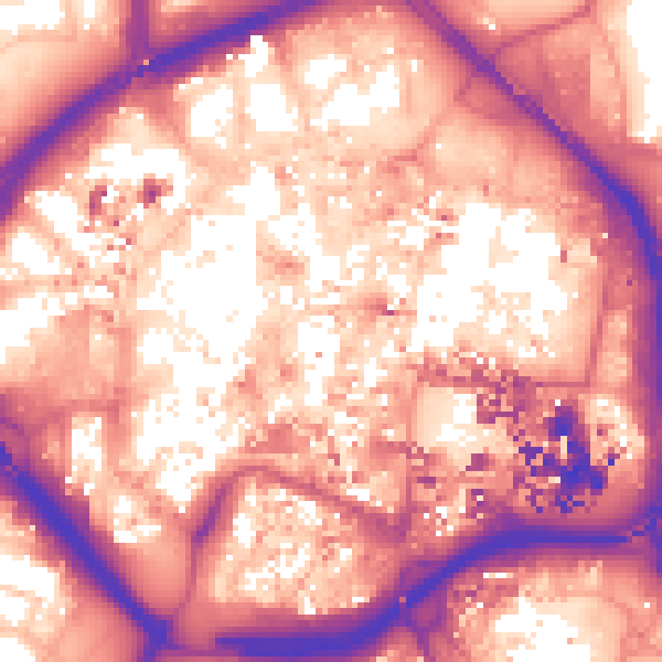 Daytime road noise heatmap for CV1 1NE
