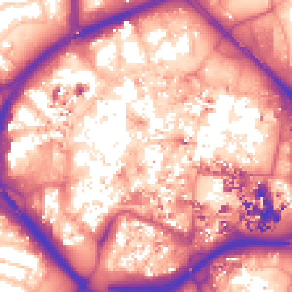 Daytime road noise heatmap for CV1 1NF