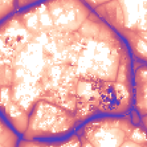 Daytime road noise heatmap for CV1 5RE