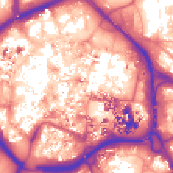 Daytime road noise heatmap for CV1 5RF