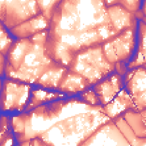 Daytime road noise heatmap for NE1 1UN