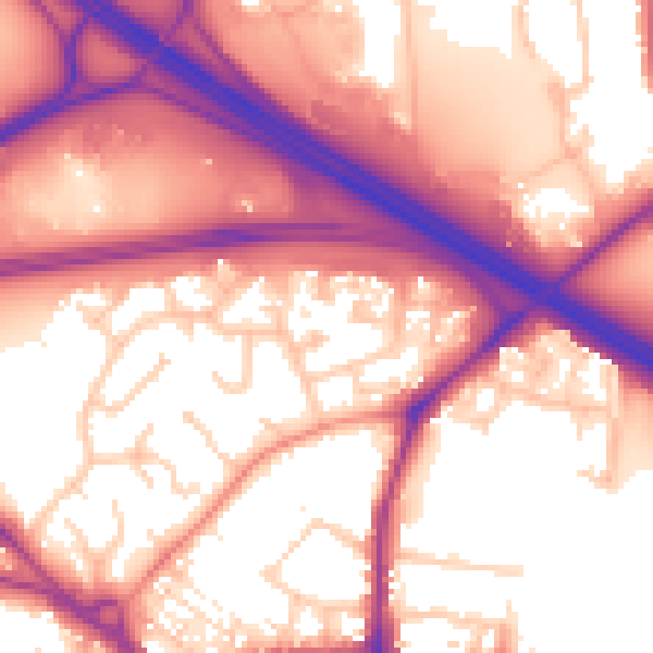 Daytime road noise heatmap for TN24 8HT